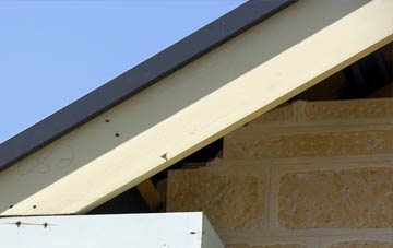 Oldtown fascia repairs