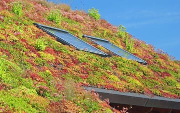 Oldtown living roof systems
